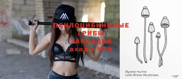 a pvp Армянск